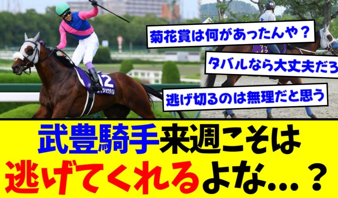 【天皇賞・秋】『武豊騎手 来週こそはメイショウタバルと逃げてくれるよな？』に対するみんなの反応集【競馬】