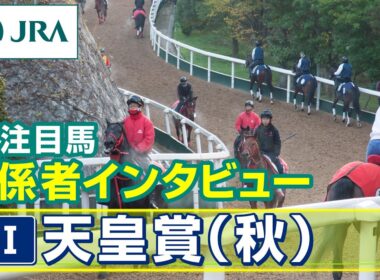 【注目馬 関係者インタビュー】2025年 天皇賞（秋）｜JRA公式
