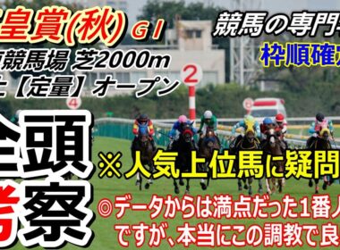 【天皇賞秋2025】全頭考察 １番人気想定マスカレードボール本当にこの調教で大丈夫！？絶好の動きを見せた牝馬の○○に注目してます