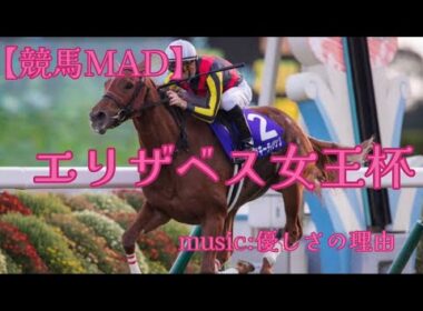 【競馬MAD】エリザベス女王杯×優しさの理由
