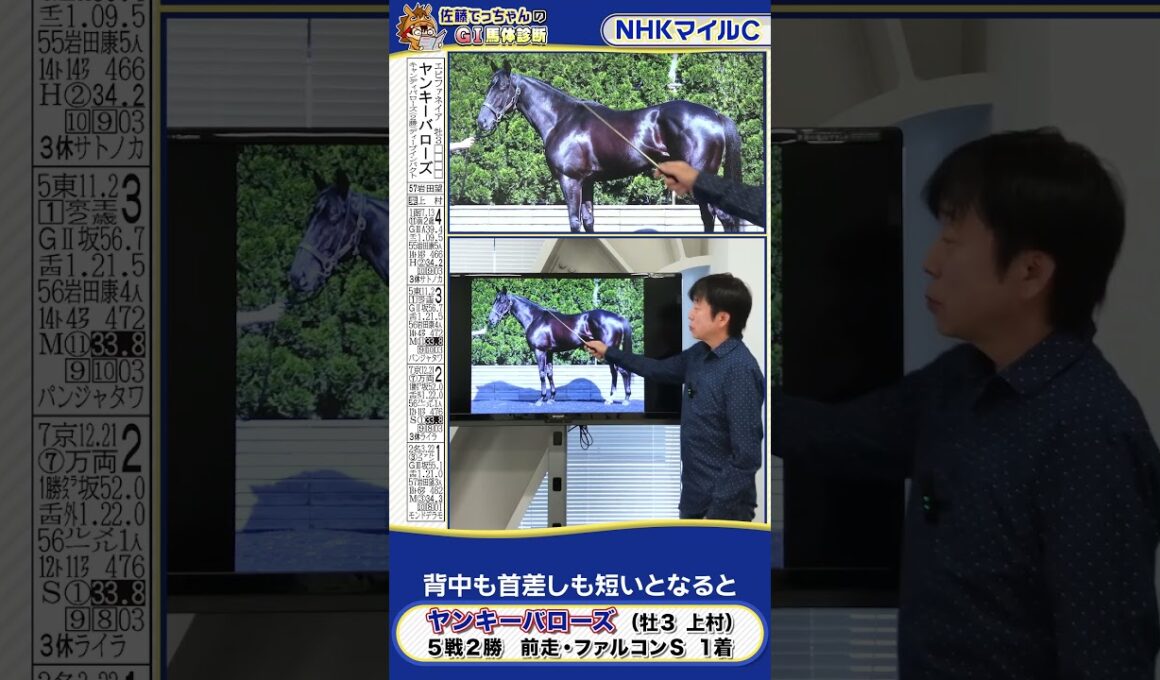 【2025年 NHKマイルＣ】ヤンキーバローズ馬体診断　 #shorts #競馬 #予想