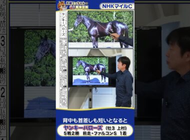 【2025年 NHKマイルＣ】ヤンキーバローズ馬体診断　 #shorts #競馬 #予想