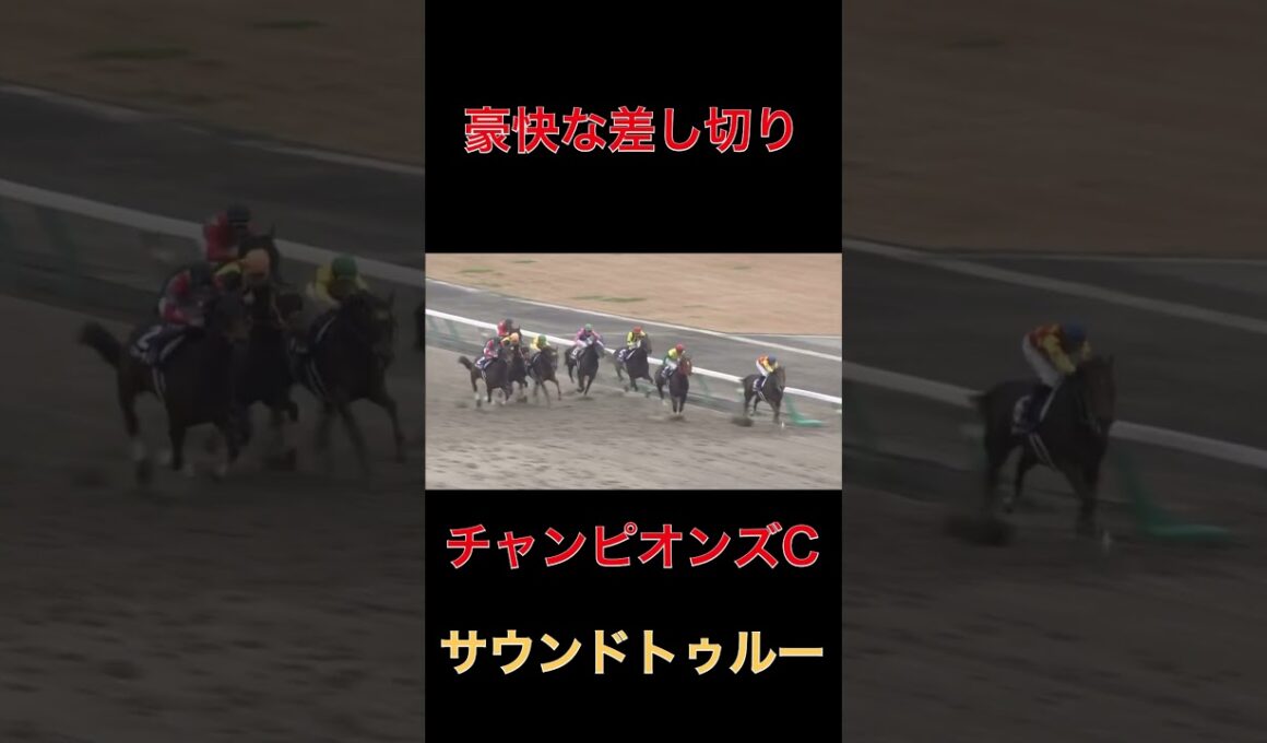 豪快な差し切りサウンドトゥルー【チャンピオンズC】#競馬#チャンピオンズカップ