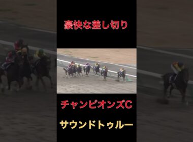 豪快な差し切りサウンドトゥルー【チャンピオンズC】#競馬#チャンピオンズカップ