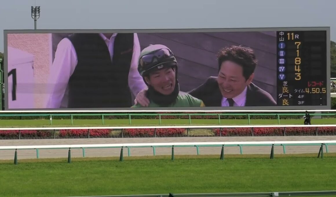 2025 04 19 第27回中山グランドジャンプJ･GⅠ 勝利馬：エコロデュエル（草野 太郎騎手）　マイネルグロン　ジューンベロシティ　スマイルスルー　他