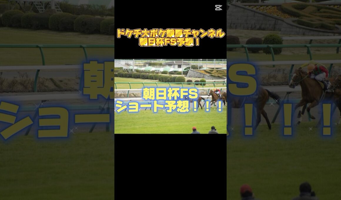 【朝日杯FS予想】来年のダービー馬がこの中にいるのか！？若駒激闘のマイルGⅠ！#競馬 #競馬予想 #ウマ娘 #ドケチ大ボケ競馬チャンネル #中央競馬 #朝日杯フューチュリティステークス #朝日杯FS