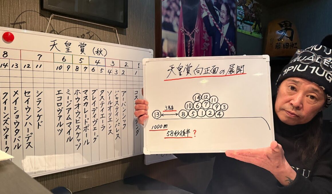 天皇賞秋 2025 向正面