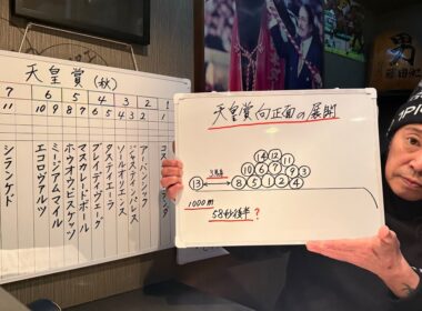 天皇賞秋 2025 向正面