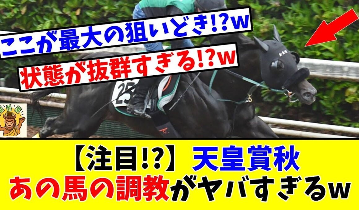 【天皇賞 秋】【注目!?】あの馬の調教がヤバすぎるwww