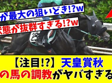 【天皇賞 秋】【注目!?】あの馬の調教がヤバすぎるwww