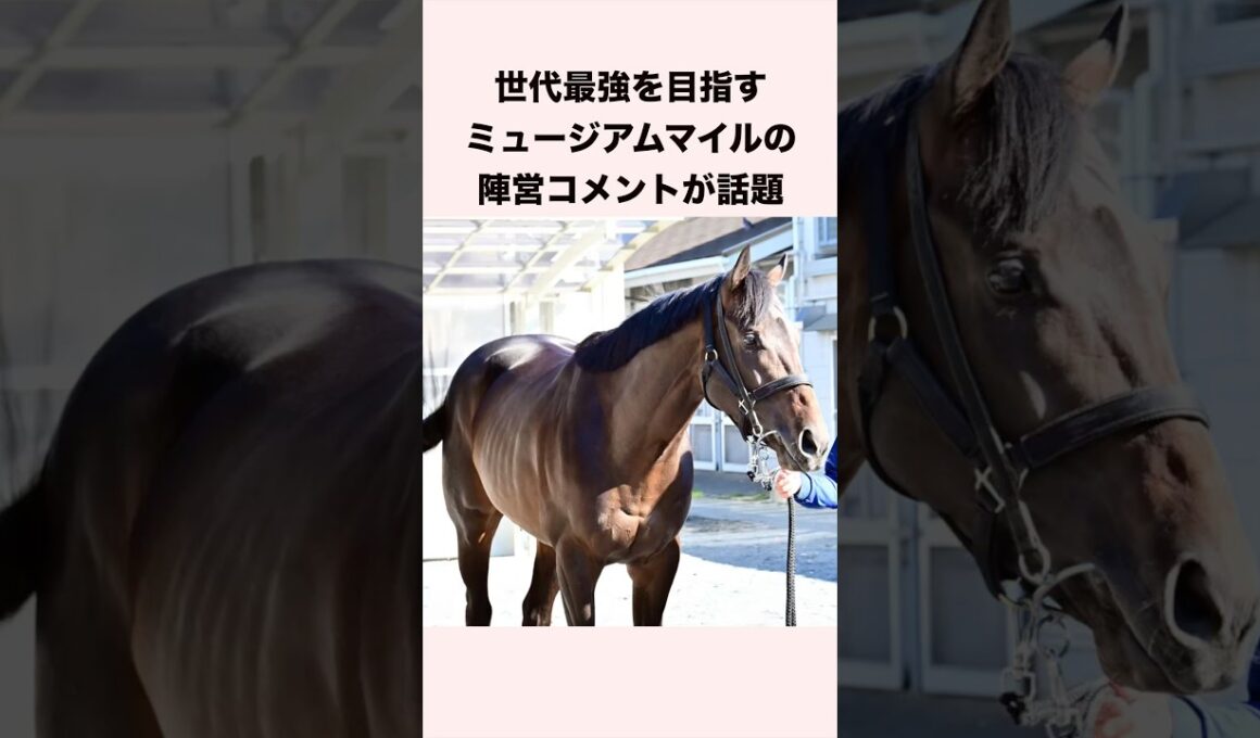 【天皇賞秋】ミュージアムマイルの陣営コメントが話題となっている #競馬 #競馬予想 #中央競馬 #天皇賞秋 #shorts
