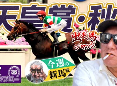 【天皇賞・秋】出走馬ジャッジ