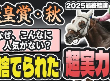 【天皇賞・秋2025最終結論】超穴降臨！タバルの影響であの強豪が輝く展開になる！【競馬予想】