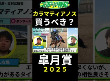 【皐月賞2025】カラマティアノスは買うべき？クロワデュノールのライバルを徹底検証