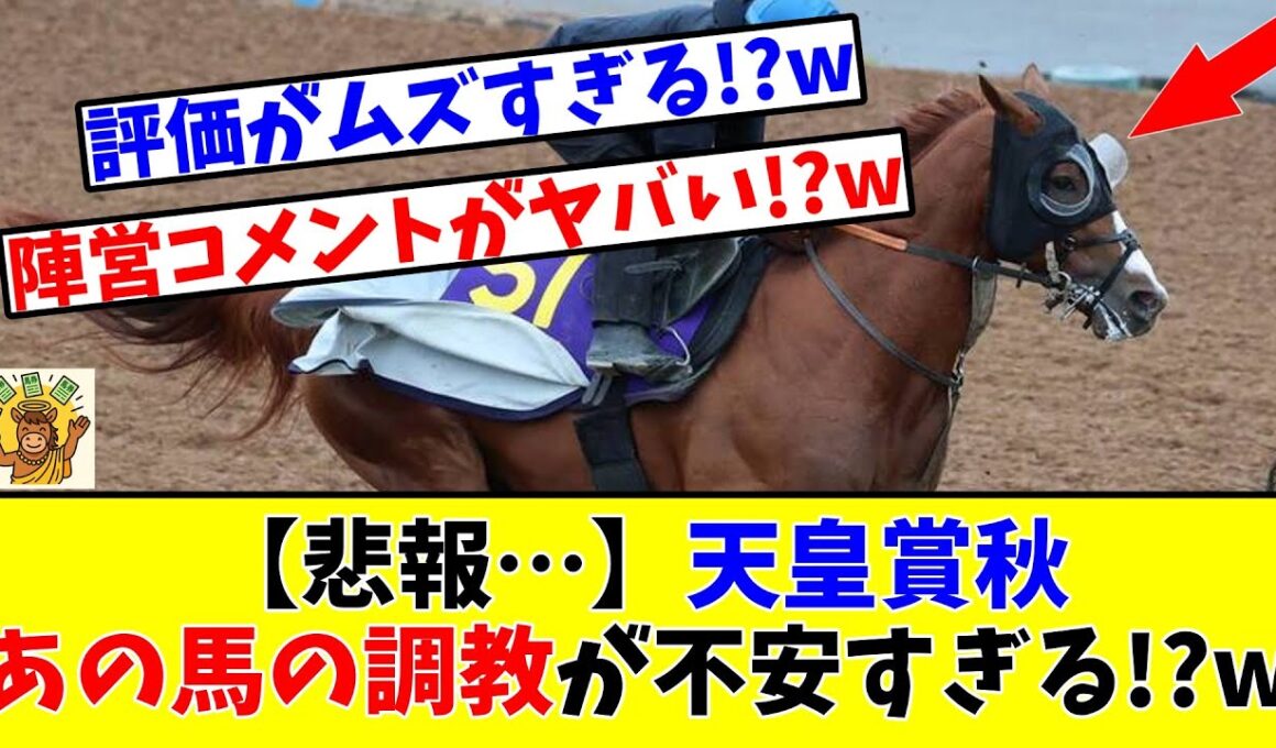 【天皇賞 秋】【悲報…】あの馬の調教が不安すぎる!?www