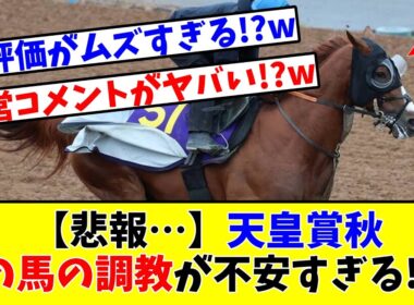 【天皇賞 秋】【悲報…】あの馬の調教が不安すぎる!?www