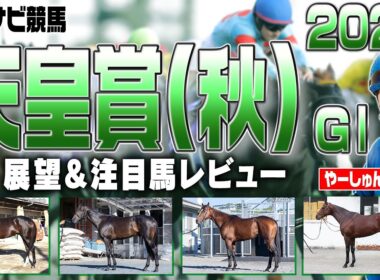 【天皇賞（秋）2025】二桁馬番は苦戦傾向？高速レースで若い馬優勢？メイショウタバル ミュージアムマイル マスカレードボール タスティエーラ シランケド など【レース展望／スポナビ競馬】