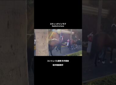 【ジュベナイルフィリーズ】BCフィリーズターフG1 コントレイル産駒の日本🇯🇵馬　swich in love 登場！ #競馬 #ブリーダーズカップ #コントレイル