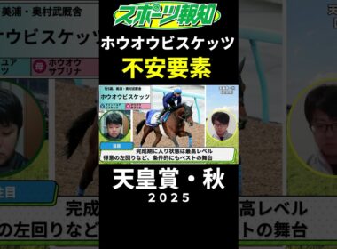 【天皇賞・秋2025】ホウオウビスケッツの不安要素…競馬記者の見解は
