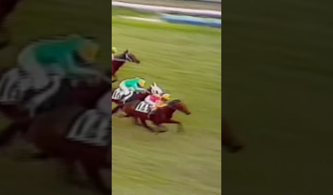 #shorts 1971 日本ダービー(東京優駿) #ヒカルイマイ #田島良保