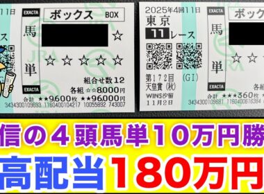 【天皇賞・秋】前日10万円購入！高配当が狙える馬単BOXで勝負！