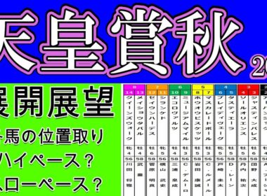 天皇賞秋2025展開展望！メイショウタバルが逃げるにしても枠的に逃げ辛い東京芝二千のスタートを決めることができるか？甘いスタートでは逃げることも叶わないため難しい競馬を強いられる！