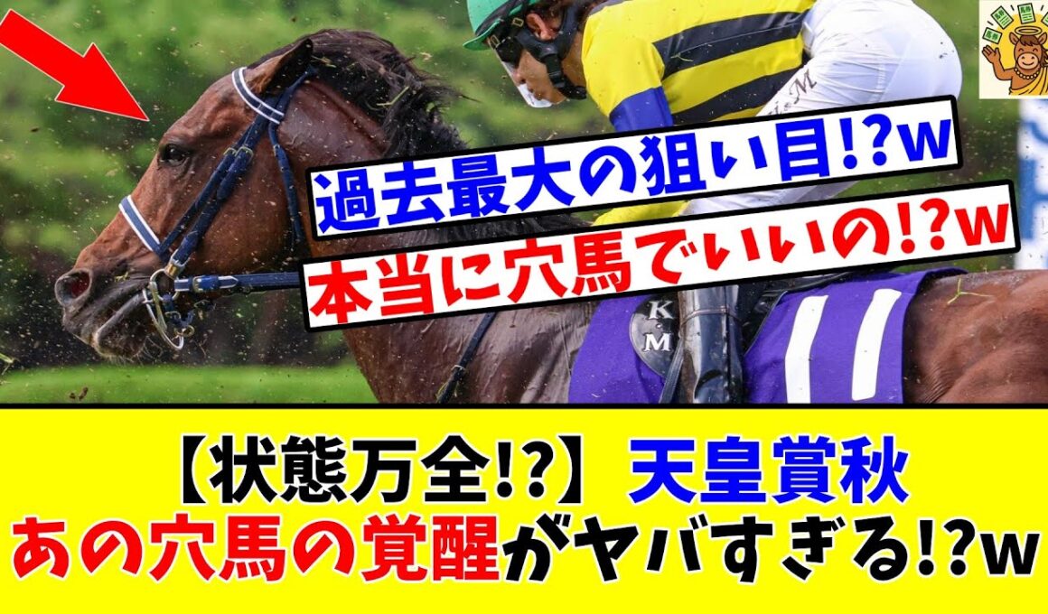 【天皇賞 秋】【状態万全!?】あの穴馬の覚醒がヤバすぎる!?www
