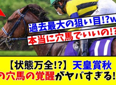 【天皇賞 秋】【状態万全!?】あの穴馬の覚醒がヤバすぎる!?www