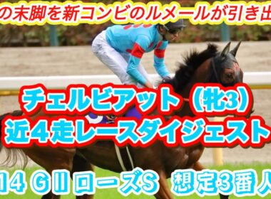 【チェルビアット】GⅡローズステークス想定3番人気！NHKマイルC3着馬の近4走レースダイジェスト