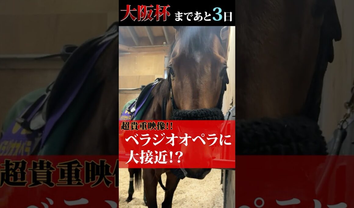 「ベラジオオペラ」大阪杯まであと3日～貴重映像！オペラに大接近!?～【ベラジオch】#ベラジオオペラ #大阪杯