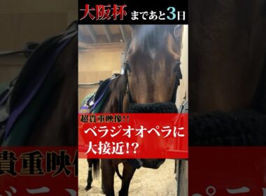 「ベラジオオペラ」大阪杯まであと3日～貴重映像！オペラに大接近!?～【ベラジオch】#ベラジオオペラ #大阪杯