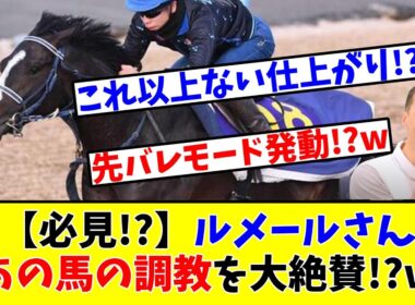 【天皇賞 秋】【必見!?】ルメールさんあの馬の調教を大絶賛してしまう!?www