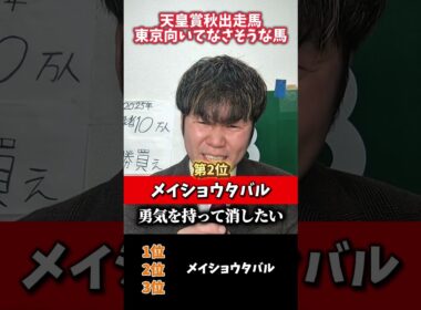 【天皇賞秋2025】天皇賞秋出走馬で東京向いてなさそうな馬ベスト3#競馬#天皇賞秋#ミュージアムマイル