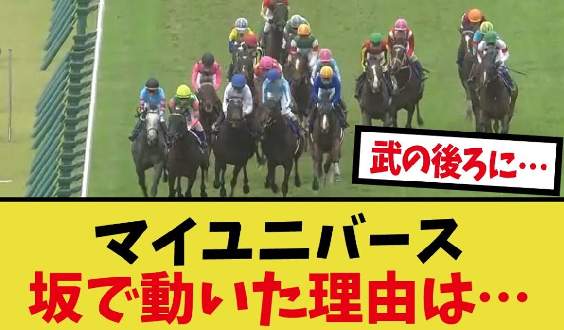 「菊花賞のペースと利用されたレジェンド」に対するみんなの反応集