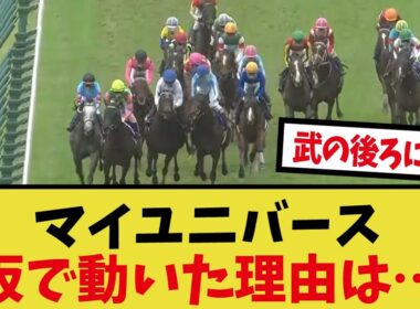 「菊花賞のペースと利用されたレジェンド」に対するみんなの反応集