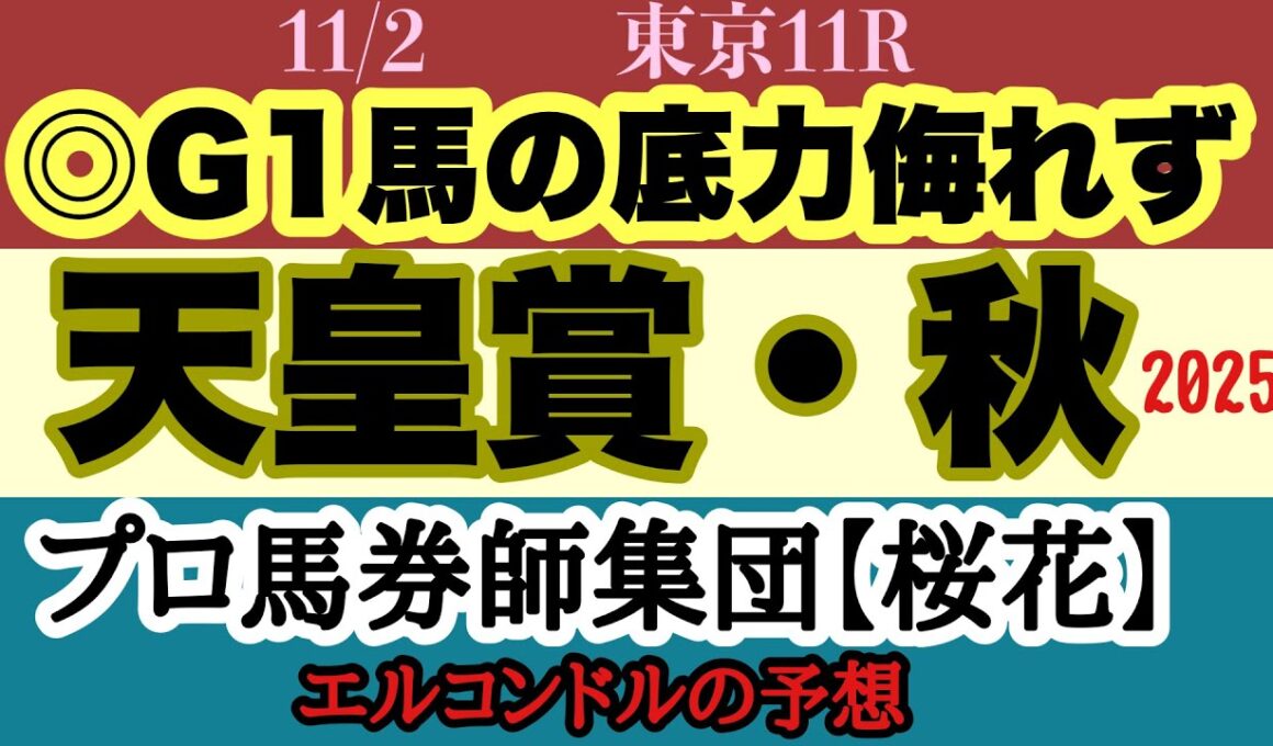 エルコンドル氏の天皇賞秋2025予想！！秋の大一番は今年は３歳馬が斤量恵まれ人気集めるも古馬とは初対戦！古馬か３歳馬か！結末は！？