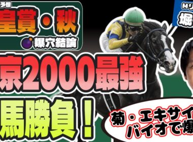 【天皇賞・秋2025最終結論】何故、この馬が人気がないのか!? エキサイトバイオに続く爆穴本命馬！【堀慎吾/競馬予想】