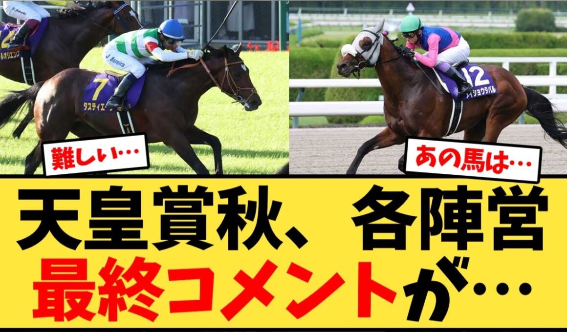 【天皇賞秋】秋天、枠順確定後の各陣営最終コメントが…【競馬反応集】
