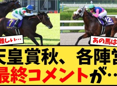 【天皇賞秋】秋天、枠順確定後の各陣営最終コメントが…【競馬反応集】