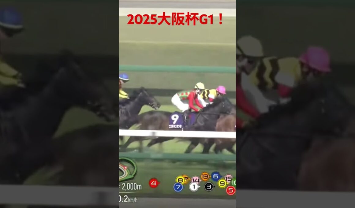 大阪杯G1　#horse #馬 #騎手 #競馬 #競馬場 #jra #日本中央競馬会 #ミルコ #西村淳也 #ジャスティンパレス #鮫島克駿 #ベラジオオペラ #横山和生 #シックスペンス #横山武史