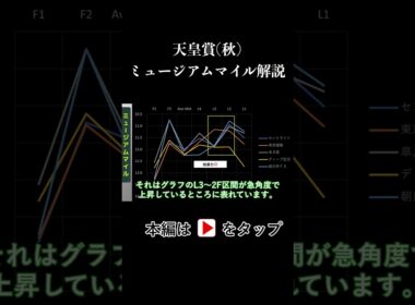 天皇賞(秋) ラップタイム分析【ミュージアムマイル編】