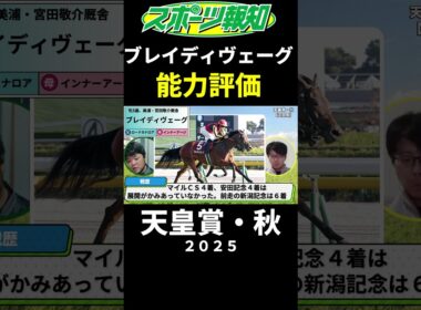 【天皇賞・秋2025】ブレイディヴェーグは買うべき？競馬記者が解説