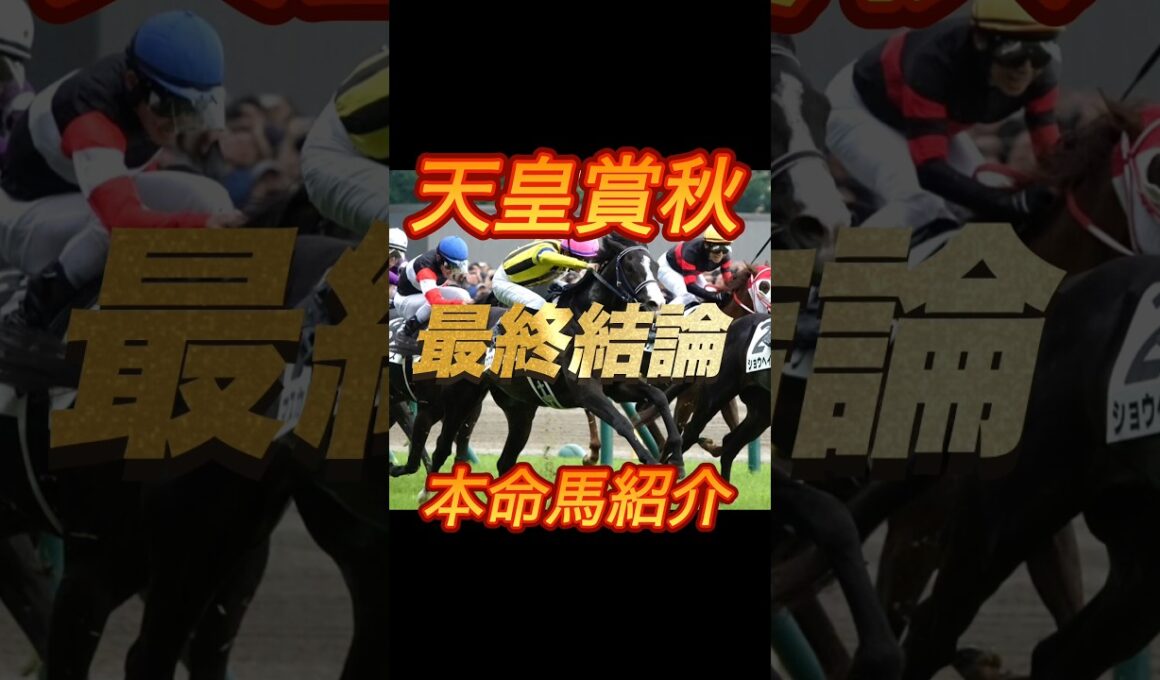 天皇賞秋2025 最終結論　本命馬紹介