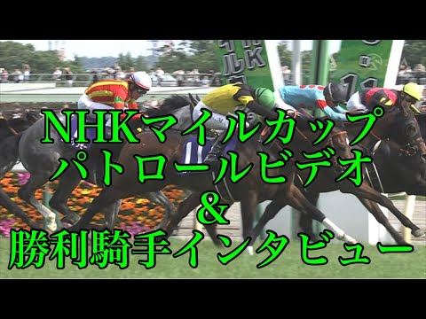 NHKマイルカップ2025 レース結果