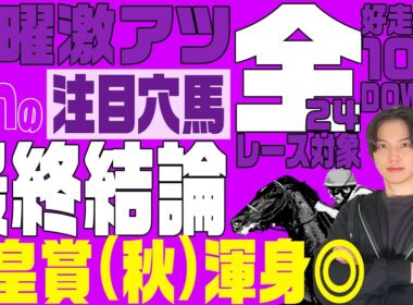 【2025天皇賞(秋)の最終結論】混戦の芝2000mG1で勝つのはこの馬！天皇賞(秋)渾身の◎と全24レースを対象として高期待値馬＋危険な人気馬⚠など超有益情報を一挙公開！