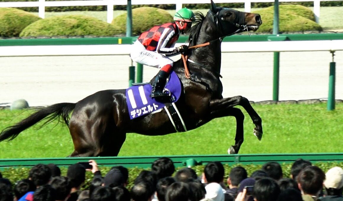 【大阪杯2025】今日は池添さんだと⑪デシエルト飛び跳ねる 本馬場入場 現地映像 ベラジオオペラ