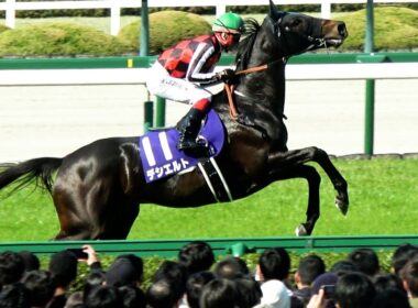 【大阪杯2025】今日は池添さんだと⑪デシエルト飛び跳ねる 本馬場入場 現地映像 ベラジオオペラ