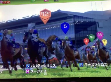 競馬・・・エリザベス女王杯