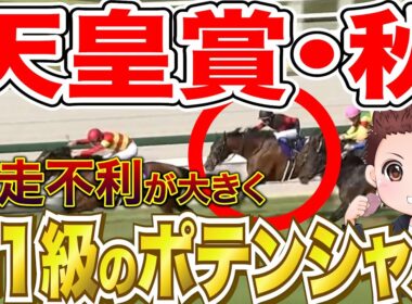 【天皇賞秋】前走不利が大きく巻き返しに期待できる馬2選！前走回顧まとめ #競馬 #競馬予想 #天皇賞秋2025