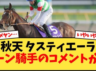 【天皇賞秋】秋天 タスティエーラレーン騎手のコメントが…【競馬反応集】